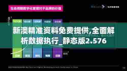 新澳精准资料免费提供,全面解析数据执行_静态版2.576