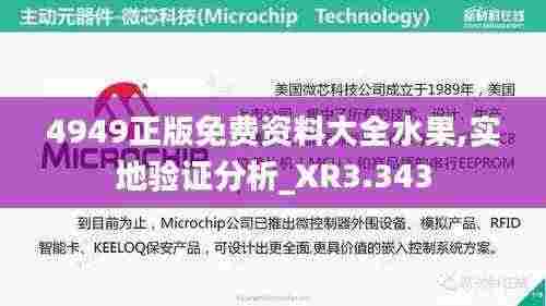 4949正版免费资料大全水果,实地验证分析_XR3.343