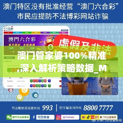 澳门管家婆100%精准,深入解析策略数据_Max4.466