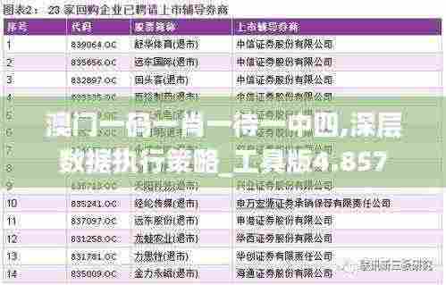 澳门一码一肖一待一中四,深层数据执行策略_工具版4.857