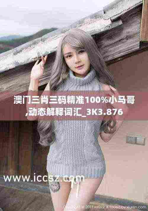 澳门三肖三码精准100%小马哥,动态解释词汇_3K3.876