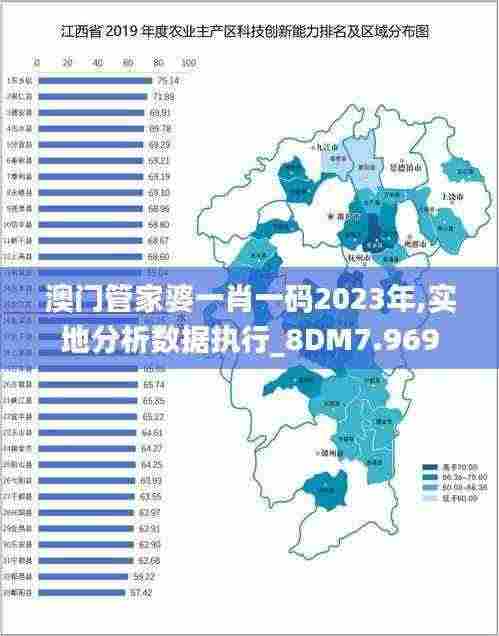 澳门管家婆一肖一码2023年,实地分析数据执行_8DM7.969