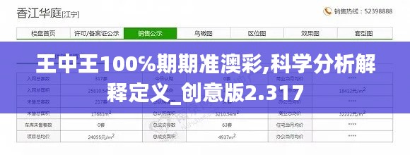 王中王100℅期期准澳彩,科学分析解释定义_创意版2.317