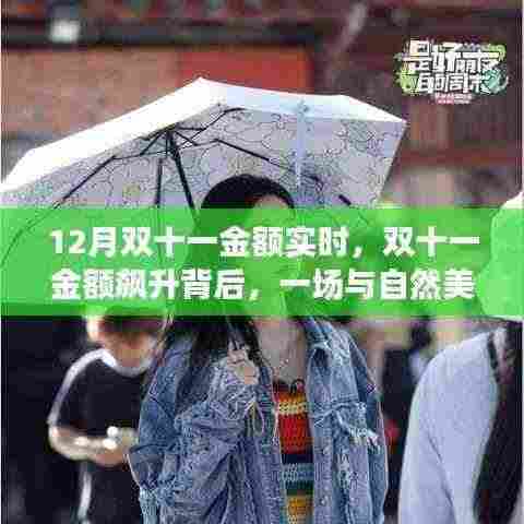 双十一金额飙升背后的自然美景邂逅之旅启动!