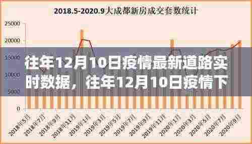 往年12月10日疫情道路实时数据深度解析,交通动态与防控策略洞察