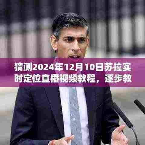 苏拉实时定位直播视频教程入门指南,逐步掌握避免违法犯罪问题