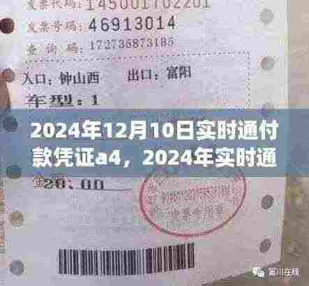 高效便捷的交易体验，2024年实时通付款凭证操作指南及实时通付款凭证a4介绍