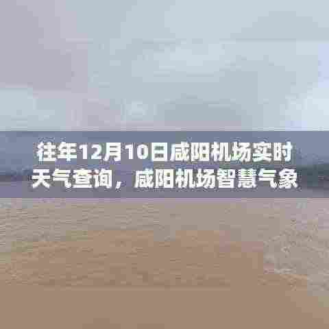 咸阳机场智慧气象助手,重塑飞行前准备体验,实时天气查询助您轻松出行