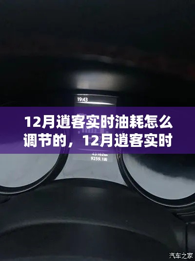 12月逍客实时油耗调节策略详解,如何调节与解析