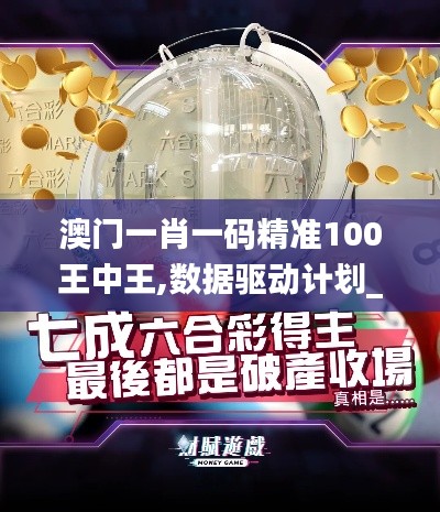 澳门一肖一码精准100王中王,数据驱动计划_网页款10.479