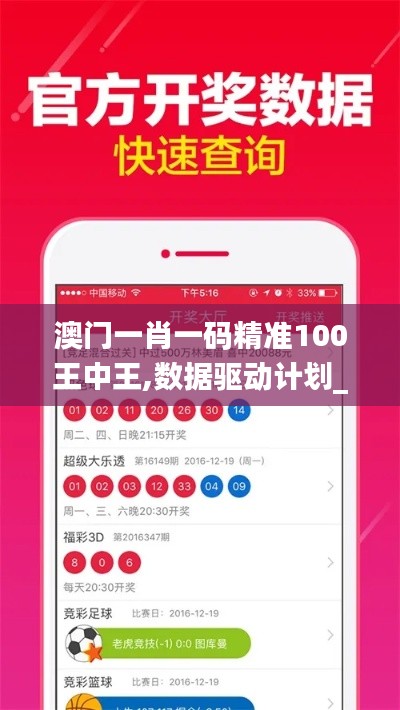 澳门一肖一码精准100王中王,数据驱动计划_网页款10.479
