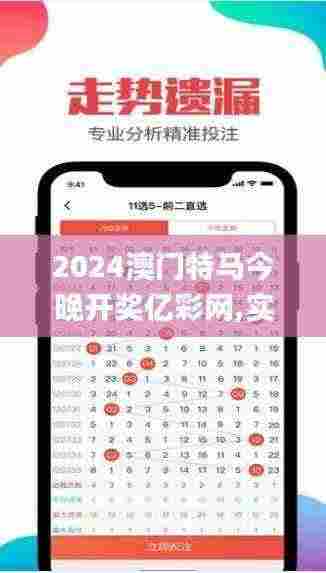 2024澳门特马今晚开奖亿彩网,实地数据分析计划_至尊版2.804