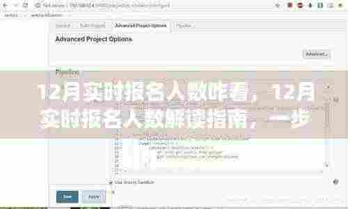 12月实时报名人数解读指南,如何准确分析与理解报名趋势