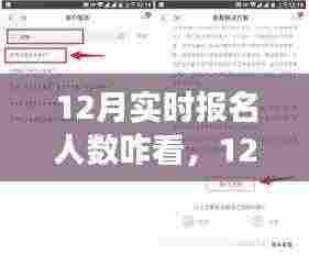 12月实时报名人数解读指南，如何准确分析与理解报名趋势