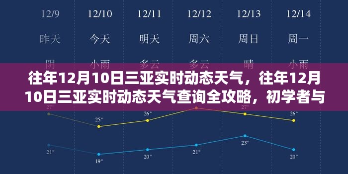 三亚往年12月10日实时动态天气详解,查询攻略与初学者进阶指南