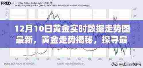 黄金走势揭秘，最新实时数据走势图背后的故事与影响