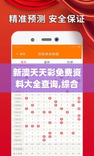 新澳天天彩免费资料大全查询,综合计划定义评估_DX版3.413