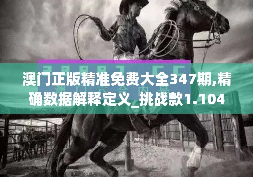 澳门正版精准免费大全347期,精确数据解释定义_挑战款1.104