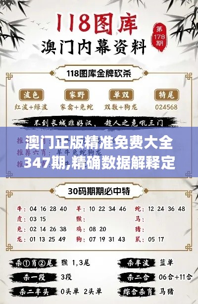 澳门正版精准免费大全347期,精确数据解释定义_挑战款1.104