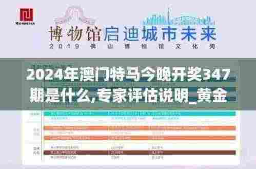 2024年澳门特马今晚开奖347期是什么,专家评估说明_黄金版3.812