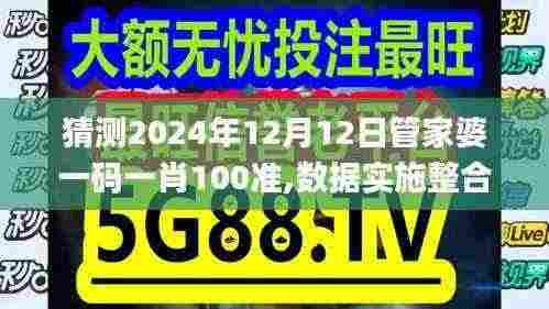 猜测2024年12月12日管家婆一码一肖100准,数据实施整合方案_定制版2.511