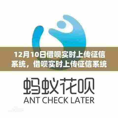 借呗实时上传征信系统,新动态下的影响与争议分析
