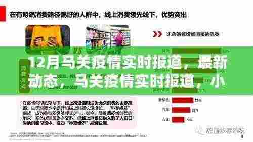 马关疫情实时报道，最新动态与防控进展，小红书共同守护防线
