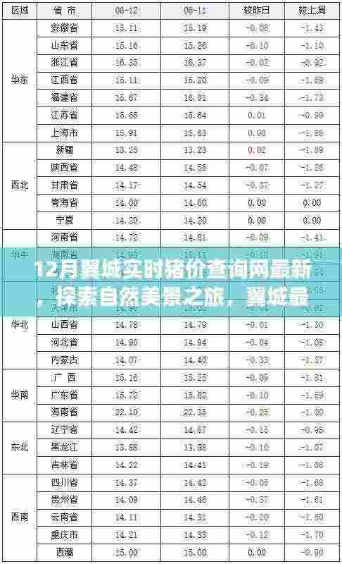 翼城实时猪价查询网,探索猪世界中的惊喜,寻找内心的宁静与平和