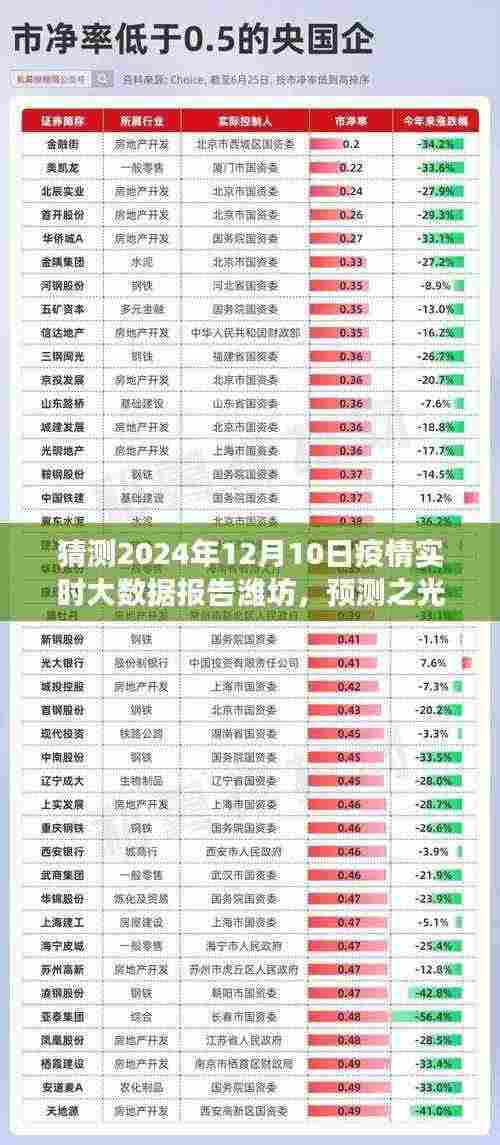 2024年12月10日潍坊疫情实时大数据预测报告,小红书上的展望