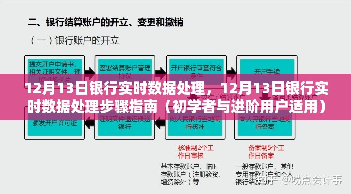 银行实时数据处理步骤指南,从入门到进阶的实用指南(12月13日更新)