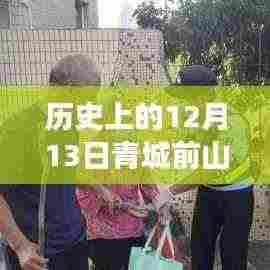 历史上的12月13日青城前山天气预报,探寻天气变迁的轨迹