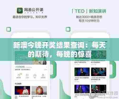 新澳今晚开奖结果查询:每天的期待,每晚的惊喜