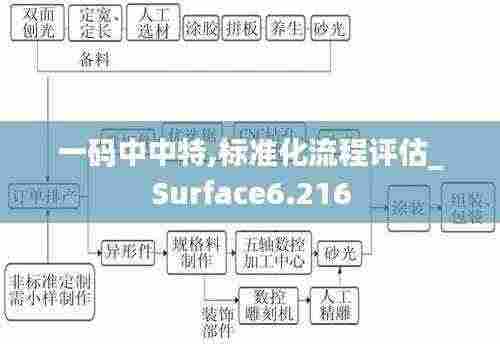 一码中中特,标准化流程评估_Surface6.216