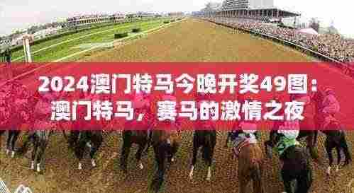 2024澳门特马今晚开奖49图:澳门特马,赛马的激情之夜