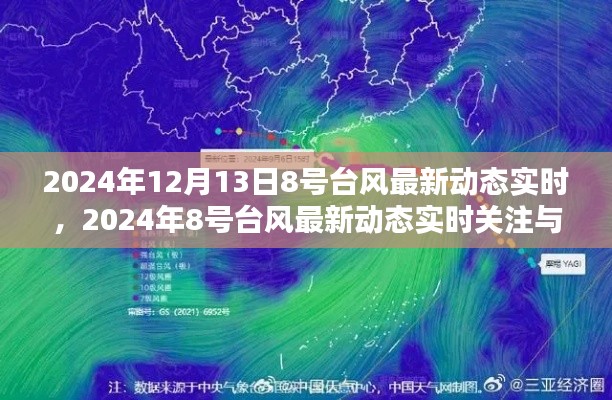 2024年8号台风最新动态实时,关注与应对步骤指南