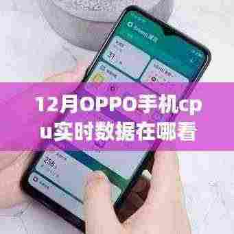 揭秘十二月OPPO手机CPU实时数据查看指南,轻松掌握手机性能动态
