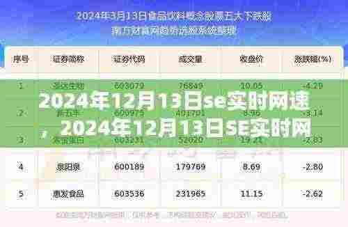关于SE实时网速的深入洞察与体验，2024年12月13日的实时网速评测