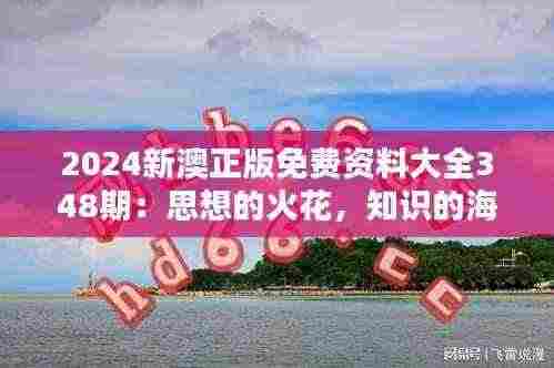 2024新澳正版免费资料大全348期:思想的火花,知识的海洋