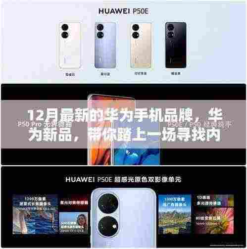 华为新品手机,带你踏上一场寻找内心平静的12月自然之旅之旅