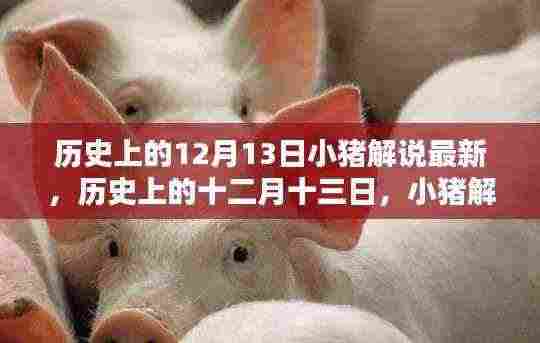 小猪解说回顾,历史上的十二月十三日那些难忘瞬间