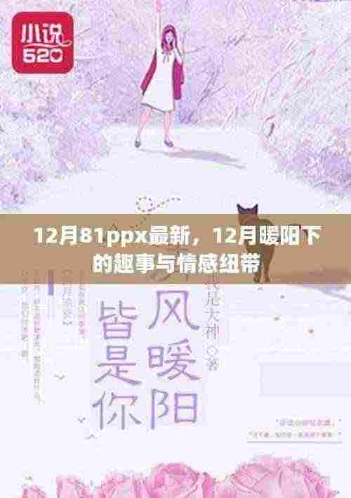 12月暖阳下的趣事与情感纽带,最新分享