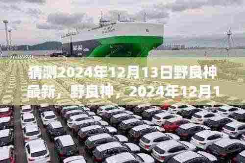 野良神最新篇章猜想与深度解读,2024年12月13日的展望