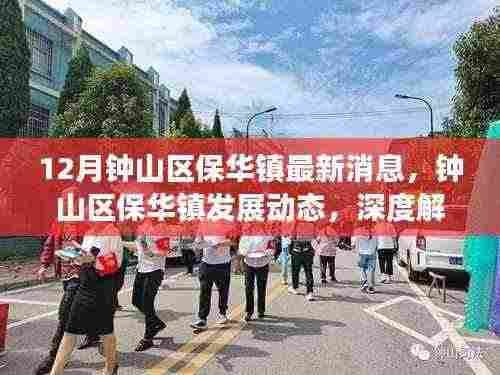 钟山区保华镇十二月最新发展动态解读，深度了解最新消息与进展
