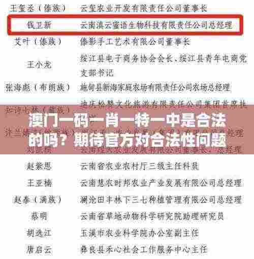 澳门一码一肖一特一中是合法的吗？期待官方对合法性问题的明确表态