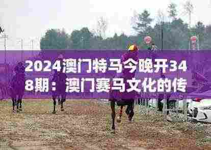 2024澳门特马今晚开348期：澳门赛马文化的传承与创新
