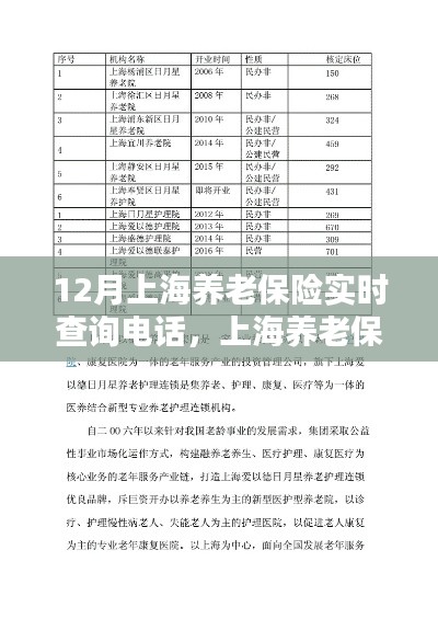 上海养老保险实时查询电话服务详解,优劣分析与个人观点