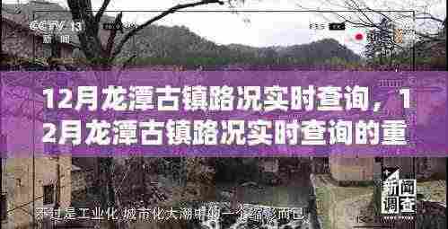 鸟为食亡 第5页