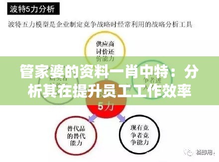 管家婆的资料一肖中特:分析其在提升员工工作效率中的关键因素