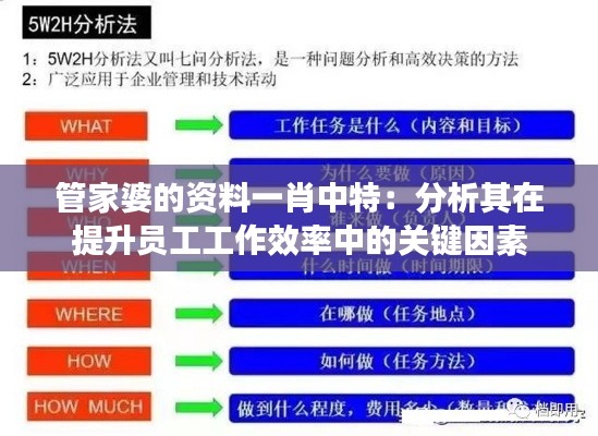 管家婆的资料一肖中特:分析其在提升员工工作效率中的关键因素