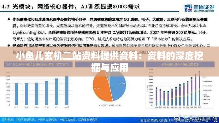 小鱼儿玄机二站资料提供资料:资料的深度挖掘与应用